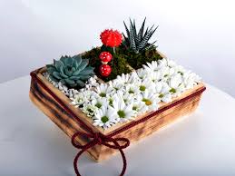 ah�ap kutuda �i�ek